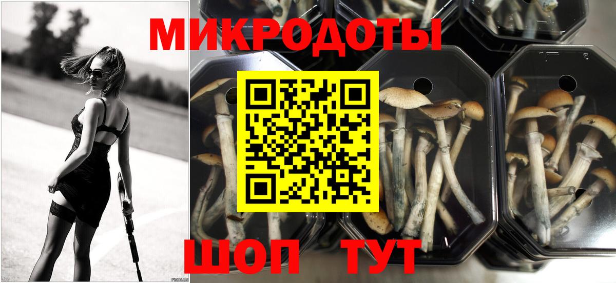 Краснодар  Галлюциногенные грибы мицелий  Вход с VPN 